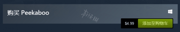 《捉迷藏》steam多少钱？游戏价格一览 2